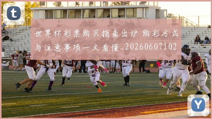 世界杯彩票购买指南出炉 购彩方式与注意事项一文看懂_20260607102837