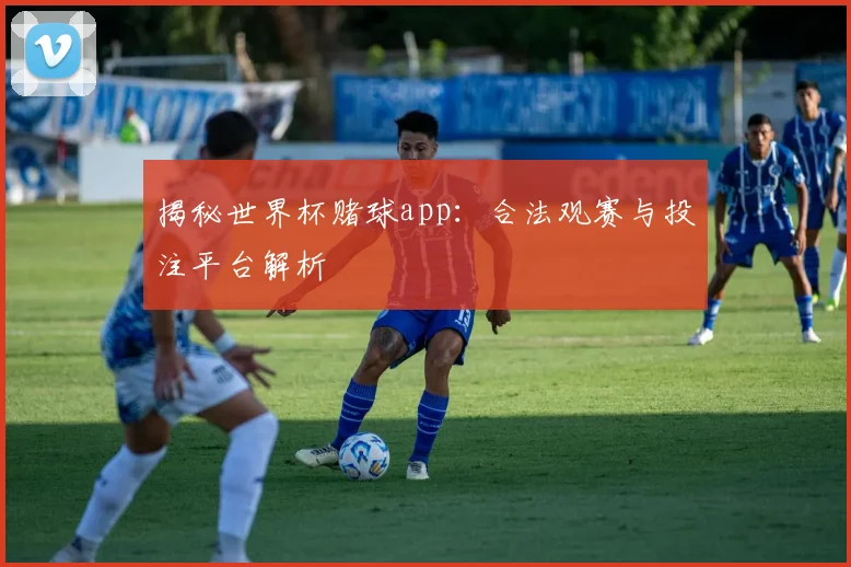 揭秘世界杯赌球app：合法观赛与投注平台解析