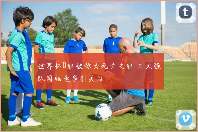 世界杯B组被称为死亡之组 三大强队同组竞争引关注