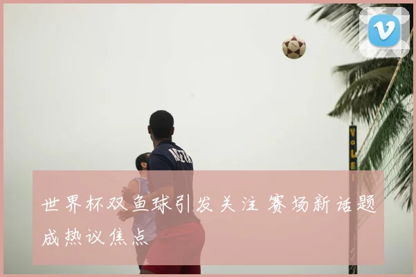 世界杯双鱼球引发关注 赛场新话题成热议焦点